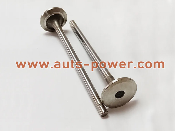 الكمون 3818520 LT10 Exhaust Valve