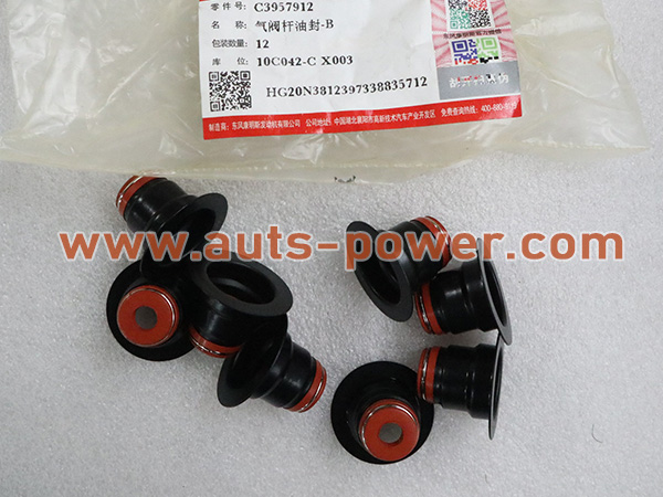 الكمون 3957912 B Series Valve Stem Seal