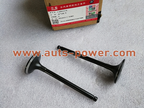 الكمون 4995554 4B Engine Intake Valve